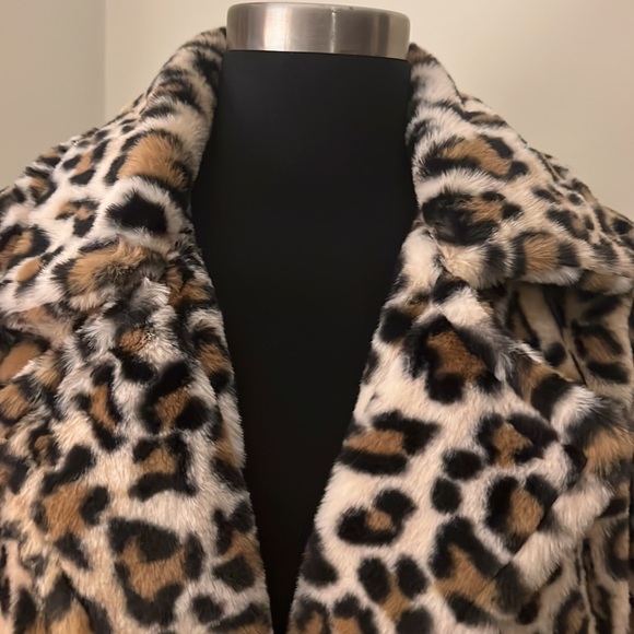 Francesca’s - Picture 2 of 10